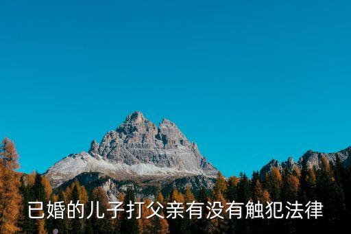 兒子打父親犯法嗎，兒子打父親犯不犯法