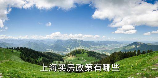  上海買房政策有哪些