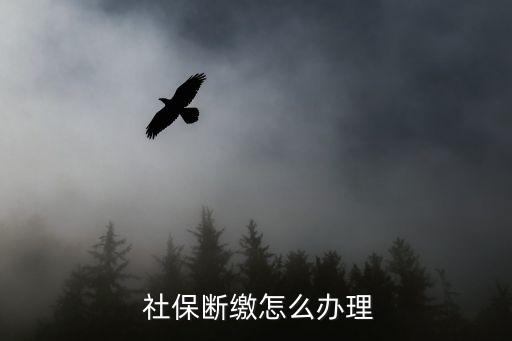 社保斷了怎么辦,找工作期間社保斷了怎么辦