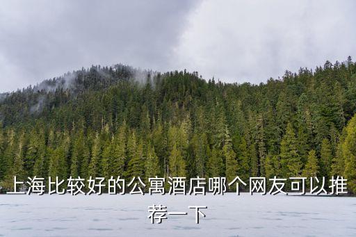 上海比較好的公寓酒店哪個(gè)網(wǎng)友可以推薦一下