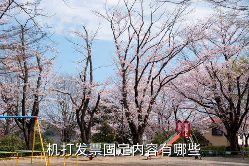發(fā)票內(nèi)容，國(guó)稅發(fā)票能開哪些內(nèi)容