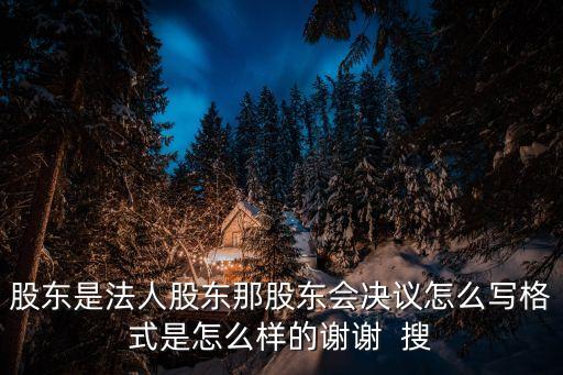 股東是法人股東那股東會決議怎么寫格式是怎么樣的謝謝  搜