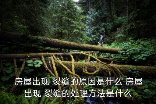 房屋裂縫
