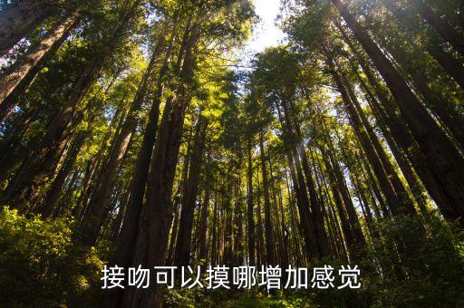 接吻可以摸哪增加感覺