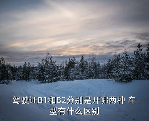 b2是什么車型,a1是什么車型