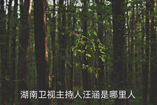 湖南衛(wèi)視主持人汪涵是哪里人