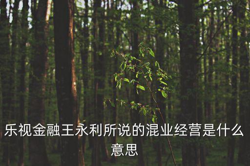 樂視金融王永利所說的混業(yè)經(jīng)營是什么意思