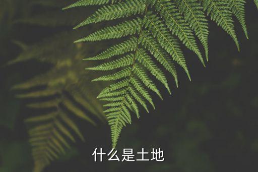 什么是土地