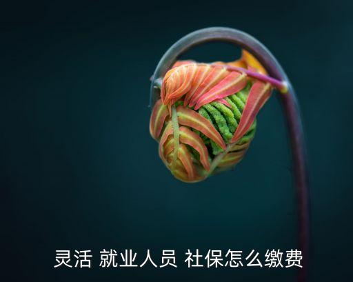  靈活 就業(yè)人員 社保怎么繳費(fèi)