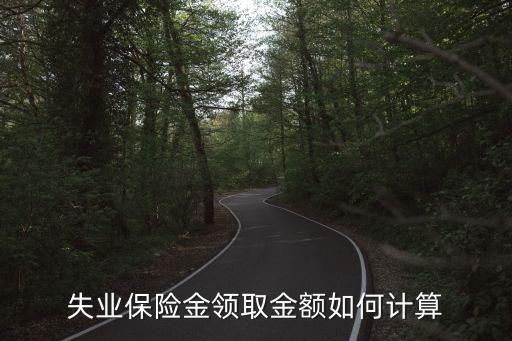 失業(yè)保險(xiǎn)金領(lǐng)取金額如何計(jì)算