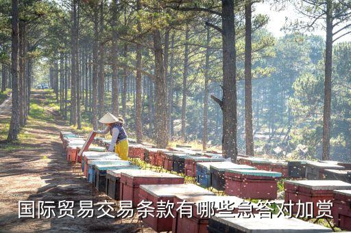 貿(mào)易條款有哪些，國(guó)際貿(mào)易交易條款有哪些急答對(duì)加賞