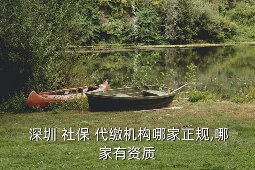 深圳社保代繳