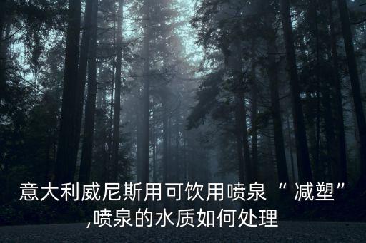 意大利威尼斯用可飲用噴泉“ 減塑”,噴泉的水質(zhì)如何處理