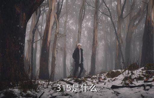 315是什么
