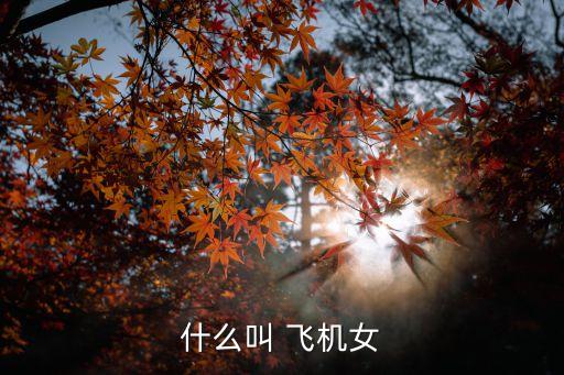 女人給男人打飛機,飛機哪個位置最舒服