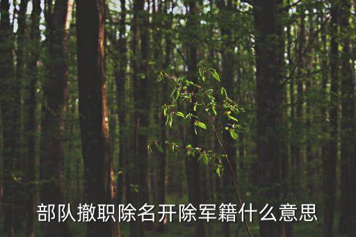 部隊撤職除名開除軍籍什么意思