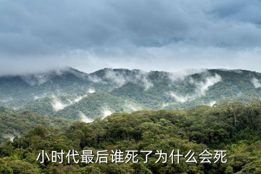  小時(shí)代最后誰死了為什么會(huì)死