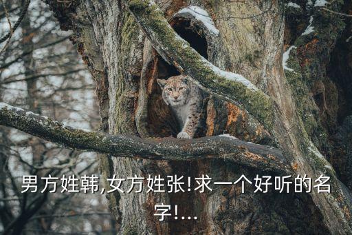 張韓,張翰圖片大全