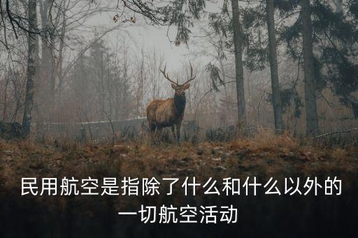 民用航空器