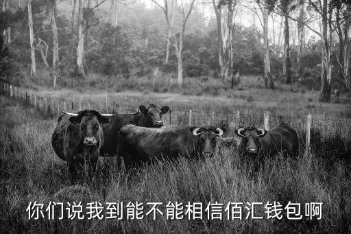 你們說(shuō)我到能不能相信佰匯錢包啊