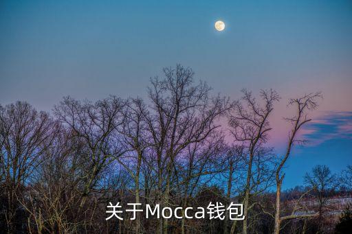 佰印錢(qián)包，關(guān)于Mocca錢(qián)包