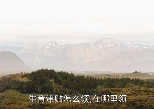生育基金怎么領(lǐng)取,生育津貼2萬多到手只有幾千