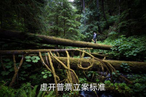 虛開普票立案標(biāo)準(zhǔn)，虛開普通票罪立案標(biāo)準(zhǔn)