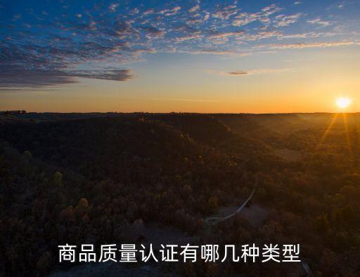 質(zhì)量認(rèn)證，質(zhì)量認(rèn)證包括產(chǎn)品認(rèn)證和 什么 認(rèn)證