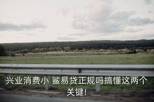小鯊易貸,興業(yè)消費金融小鯊易貸