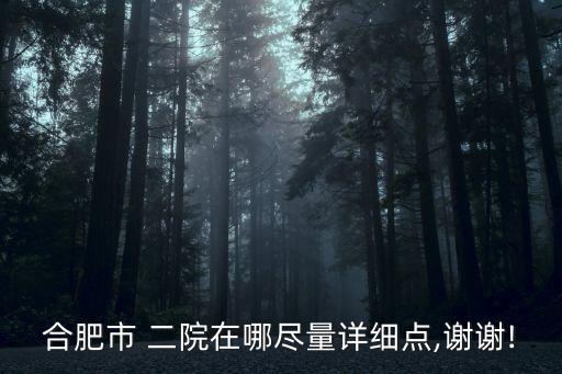 六安二院