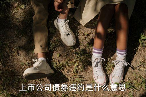 債券違約，債券市場違約會不會虧到本金以下