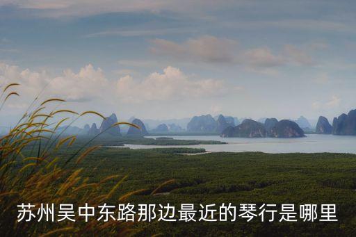 蘇州吳中東路那邊最近的琴行是哪里