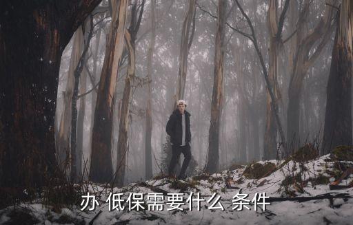 低保戶申請(qǐng)條件,2023年農(nóng)村低保戶申請(qǐng)條件