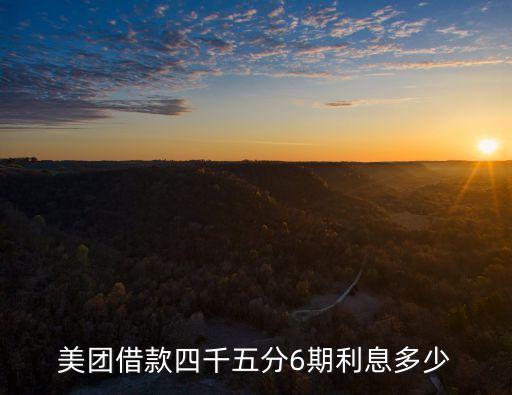 美團(tuán)借錢利息高嗎，美團(tuán)外賣借錢0065利息高嗎