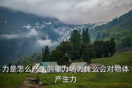原因力，力是維持原有物體運動狀態(tài)的原因要改變運動狀態(tài)必須施加力