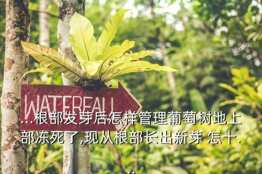 怎十,怎樣把舊手機(jī)的東西移到新手機(jī)