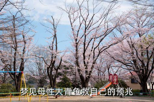 和岳母性交