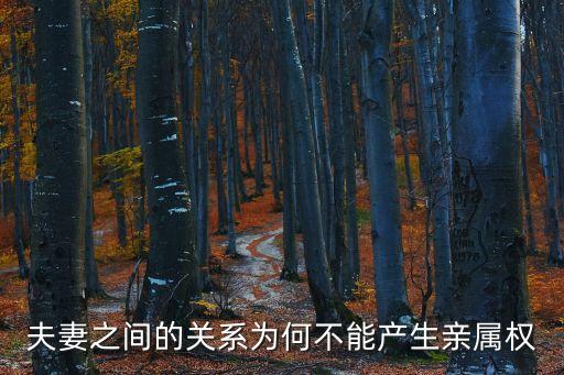 夫妻之間的關(guān)系為何不能產(chǎn)生親屬權(quán)