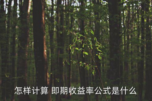 怎樣計算 即期收益率公式是什么