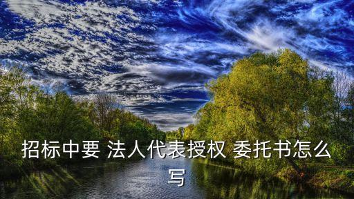 法人委托書,公司法人委托書