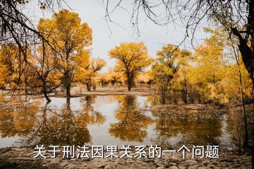 刑法因果關(guān)系，刑法學(xué)的因果關(guān)系如何界定