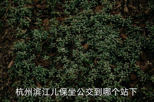 杭州濱江兒保坐公交到哪個(gè)站下