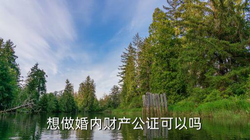 婚內(nèi)財產(chǎn)公證，關(guān)于婚內(nèi)可否做財產(chǎn)公證