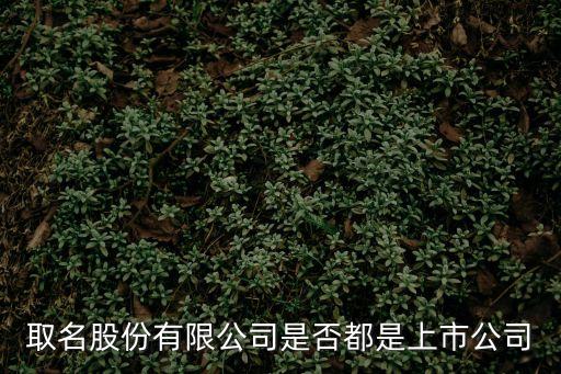 取名股份有限公司是否都是上市公司