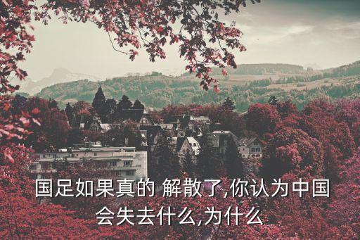 國(guó)足正式解散,國(guó)足解散了嗎最新消息