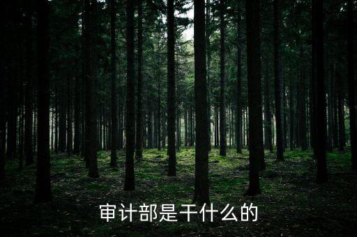 審計(jì)部是干什么的