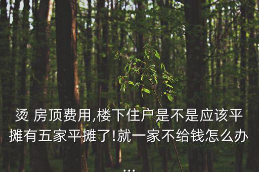 燙 房頂費用,樓下住戶是不是應(yīng)該平攤有五家平攤了!就一家不給錢怎么辦...