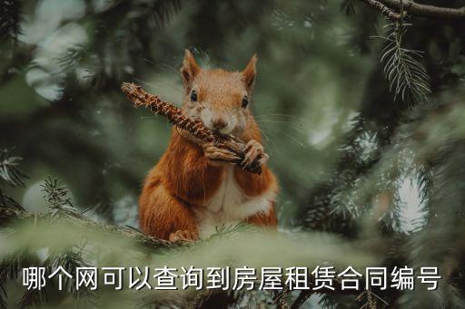 哪個網(wǎng)可以查詢到房屋租賃合同編號