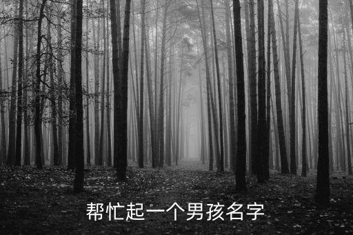 幫忙起一個男孩名字