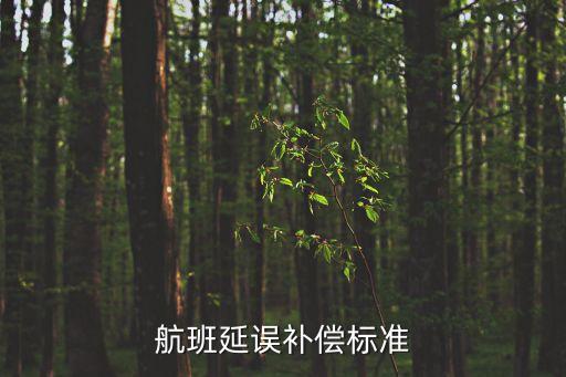 延誤，遇到航班延誤該怎么辦